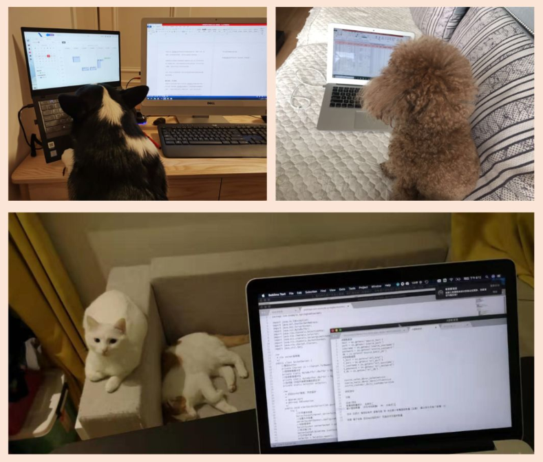 一家养老数字化公司的在家办公之旅(图4)